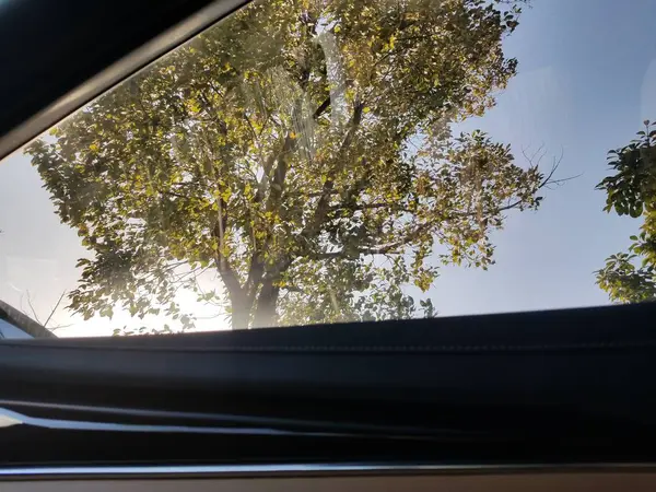 Coche Carretera Bosque — Foto de Stock