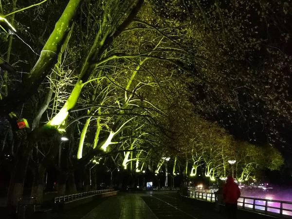 Vista Nocturna Del Parque Con Puente Ciudad — Foto de Stock