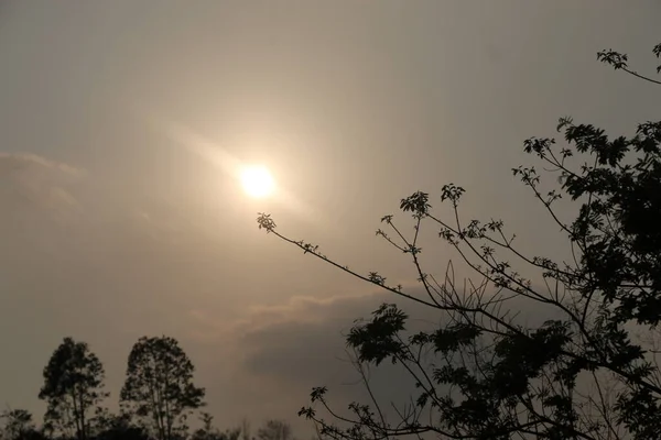 Silueta Árbol Con Una Puesta Sol Cielo — Foto de Stock