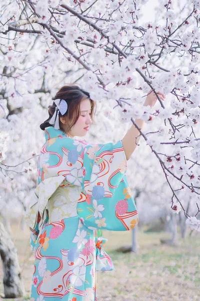 asian woman in the garden of apple tree blossoms at daytime