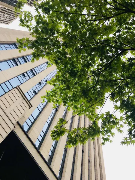 Edificio Moderno Ciudad — Foto de Stock