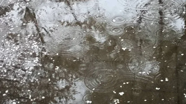 Gotas Agua Sobre Vidrio — Foto de Stock