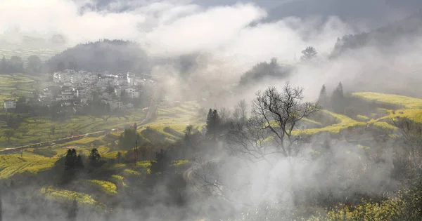 Vista Hermoso Paisaje Otoñal — Foto de Stock