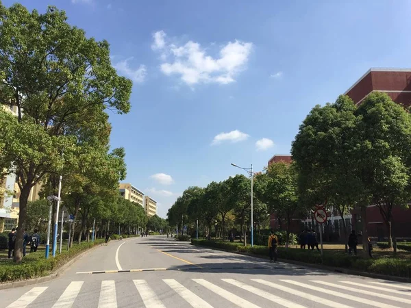 Vista Ciudad Del Parque Verano — Foto de Stock