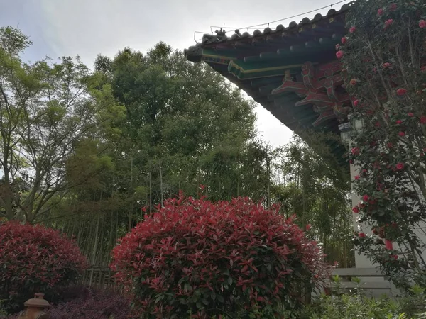 Hermoso Jardín Chino Kyoto Japón — Foto de Stock