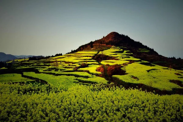 Prachtig Landschap Van Een Bergveld — Stockfoto