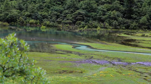 Río Verde Parque — Foto de Stock