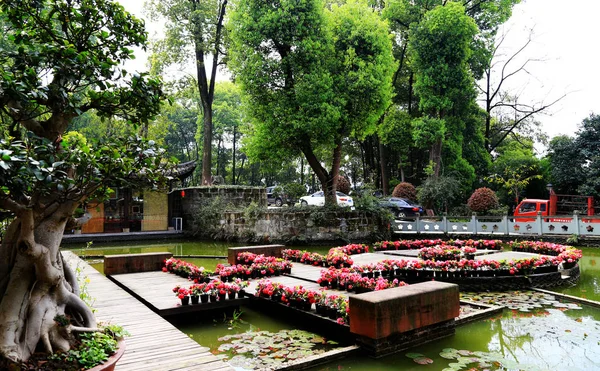 Hermoso Jardín Parque — Foto de Stock