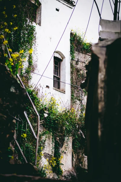 Antigua Casa Ciudad — Foto de Stock