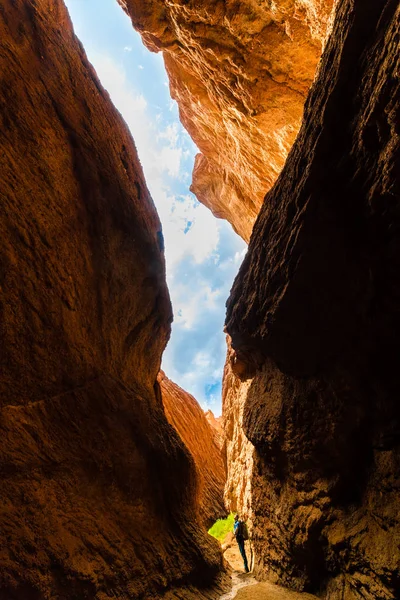 Wunderschöne Landschaft Des Zion Nationalparks Utah — Stockfoto