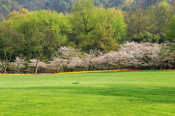 golf course in the park.