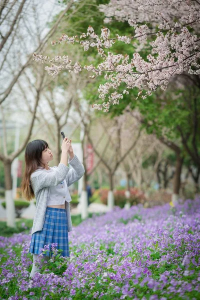 cheerful asian woman in Cherry Blossom garden  at daytime