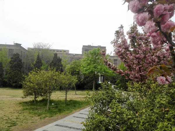 Hermosa Vista Ciudad Del Parque Primavera — Foto de Stock