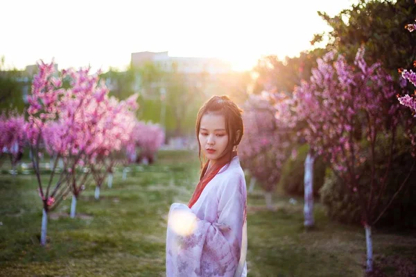 young asian woman in Cherry Blossom garden