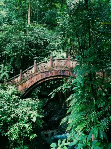 Hermoso Puente Verde Parque — Foto de Stock