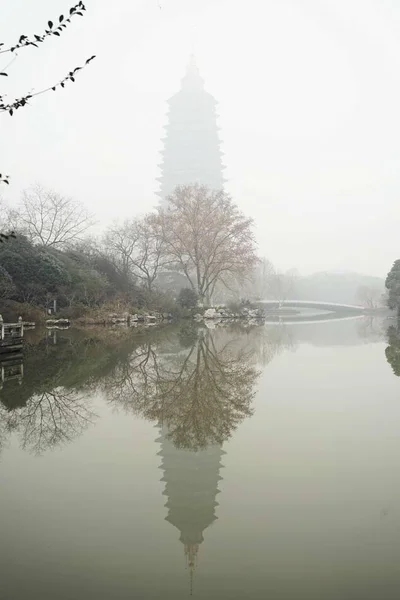 호수와 나무로 뒤덮인 아름다운 — 스톡 사진