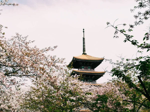 japanese pagoda in japan