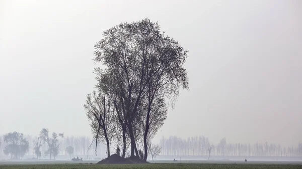 Picturesque View Nature Scene — Stock Photo, Image