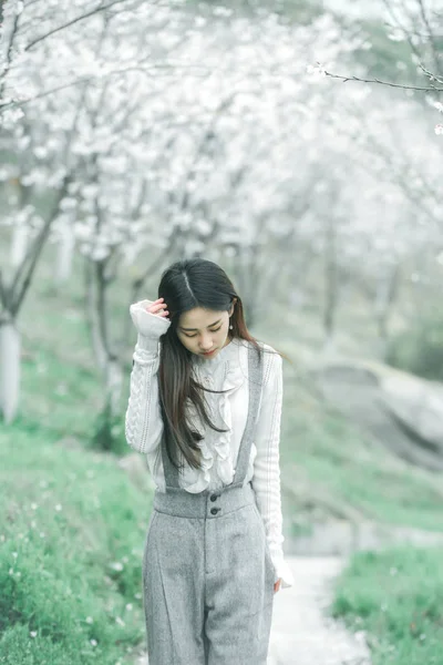 Asian Woman Wiosną Cherry Blossom Ogród — Zdjęcie stockowe