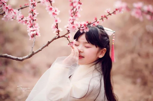 asian woman in the garden of apple tree blossoms at daytime