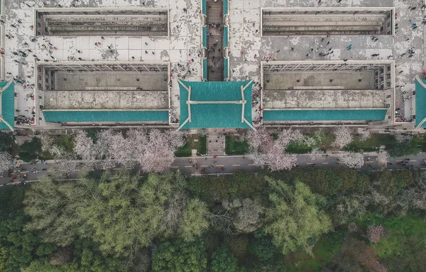 aerial view of a green field with a drone