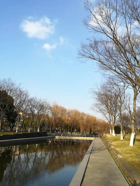 Hollanda Daki Şehir Parkı — Stok fotoğraf