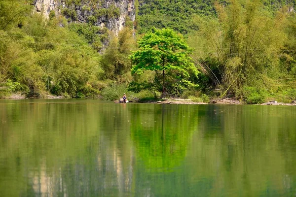 Pintoresca Vista Del Hermoso Lago Bosque — Foto de Stock