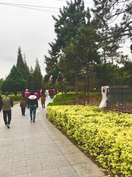 Chica Está Caminando Parque — Foto de Stock