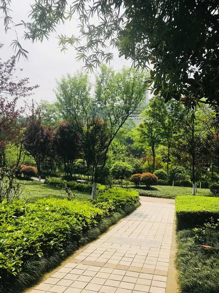 Hermoso Jardín Parque — Foto de Stock