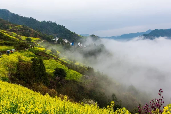 Hermoso Paisaje Montaña Huangshan Sur Provincia Anhui Este China — Foto de Stock