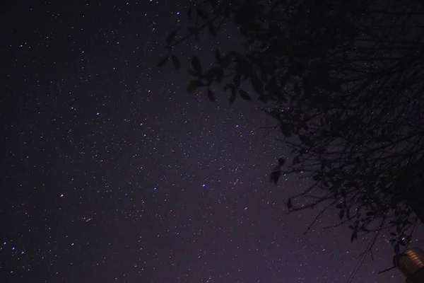 Hermoso Cielo Con Estrellas Nebulosa Astronomía — Foto de Stock