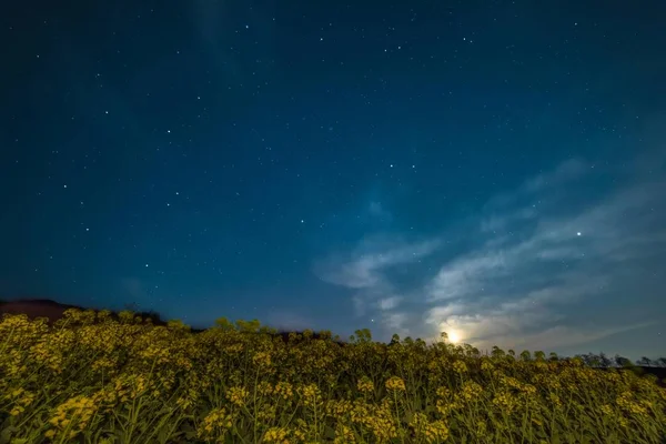 Cielo Nocturno Con Estrellas Atmósfera — Foto de Stock