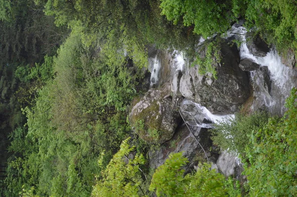 waterfall and rocks in the forest