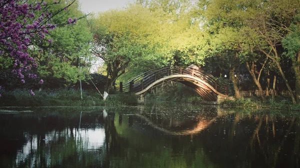 Hermosa Vista Del Lago Parque — Foto de Stock