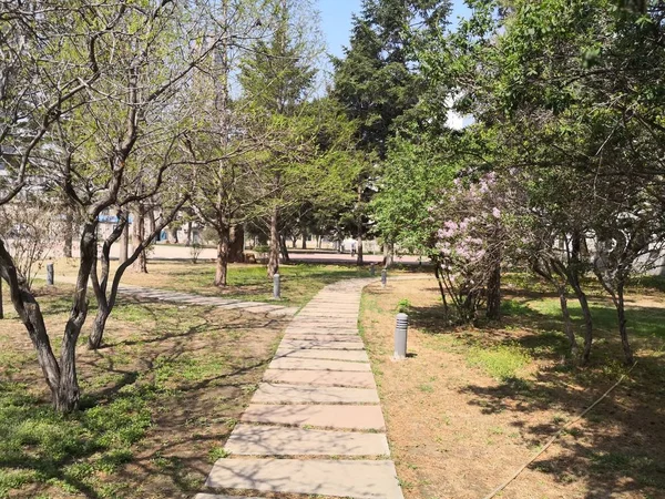 Hermosa Vista Del Parque Ciudad — Foto de Stock