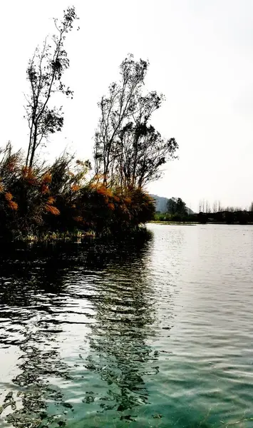 Pintoresca Vista Hermosa Naturaleza — Foto de Stock