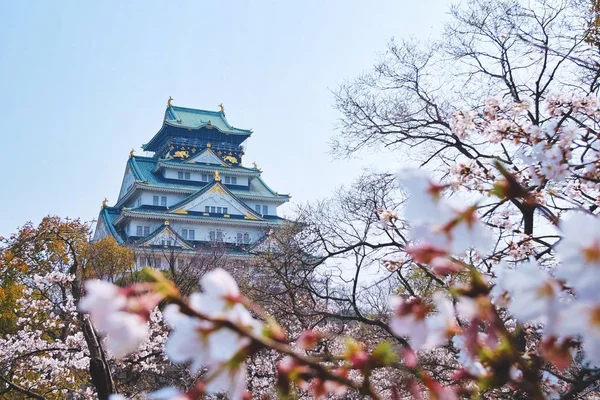 Hermosa Vista Del Castillo Osaka Japón — Foto de Stock