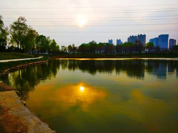 公园里美丽的落日 — 图库照片