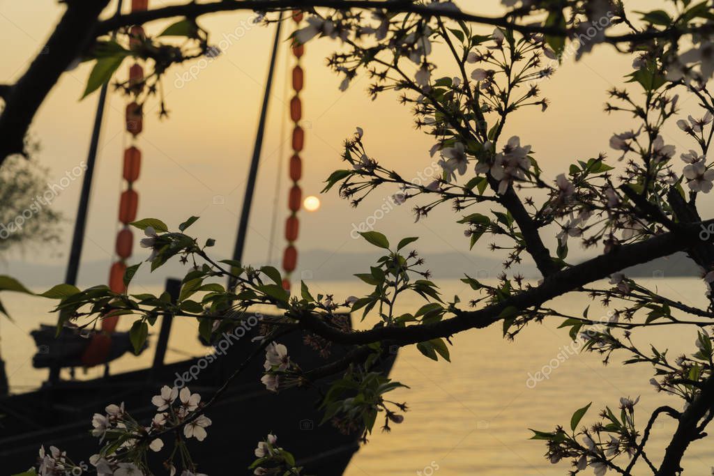 Imaginechina-Tuchong