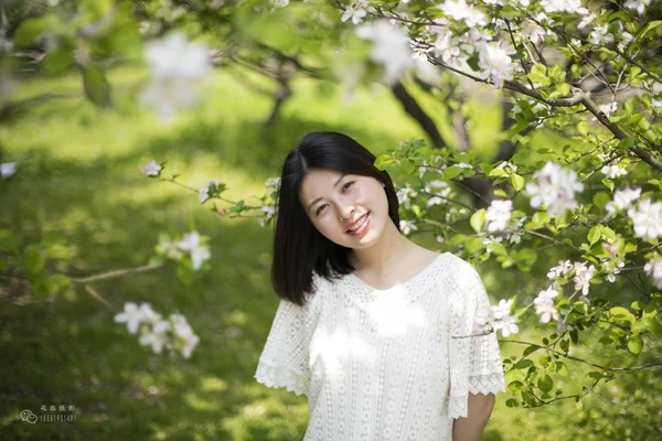 Nuori Aasialainen Nainen Cherry Blossom Puutarhassa — kuvapankkivalokuva