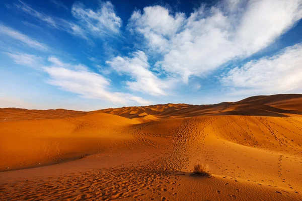 Üres Negyed Szabadtéri Homokdűne Oman Régi Sivatagi Dörzsölje Khali — Stock Fotó