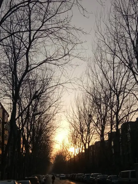 Noche Invierno Parque Ciudad — Foto de Stock