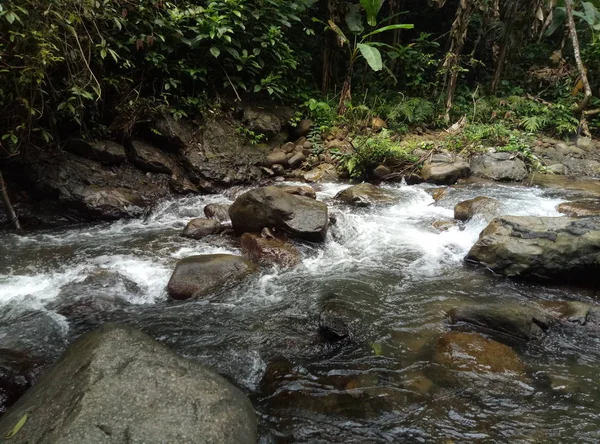 Movimiento Hermosa Cascada Que Fluye — Foto de Stock