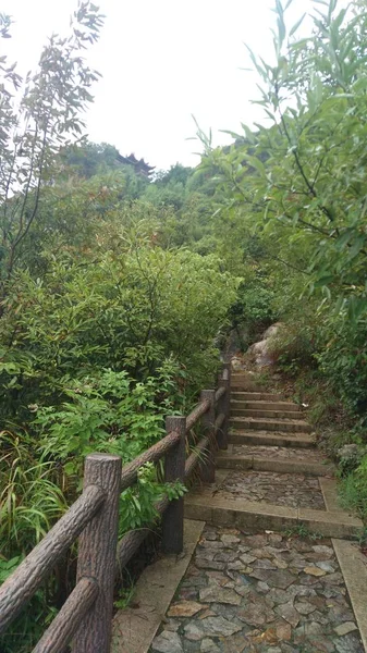 Puente Madera Bosque — Foto de Stock