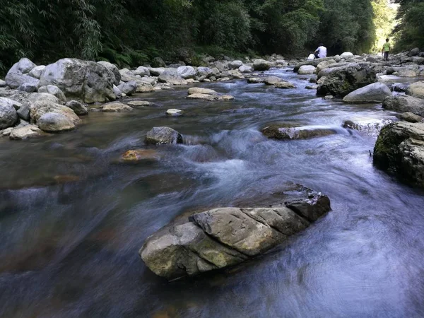 Agua Que Fluye Río Abajo Bosque — Foto de Stock