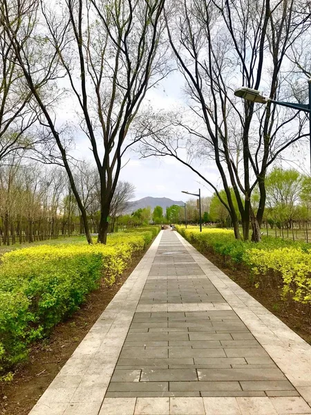 Pasarela Vacía Parque — Foto de Stock