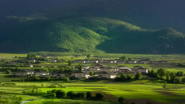 Vista Panorámica Del Hermoso Paisaje Verde — Foto de Stock