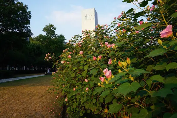 Ciudad Casa Parque — Foto de Stock