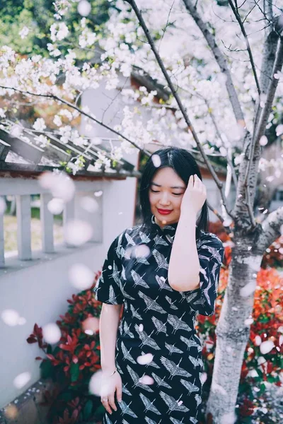 portrait of asian woman in Cherry Blossom garden in spring