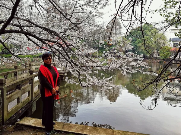 portrait of asian woman in Cherry Blossom garden in spring